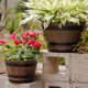 thumbnail image 3 of GOOHOCHY Capas de flores del hogar Garden Bonsai Plantador Resin Plantador de macetas Plantas decorativas Pot para balcón de jardín, 3 of 7