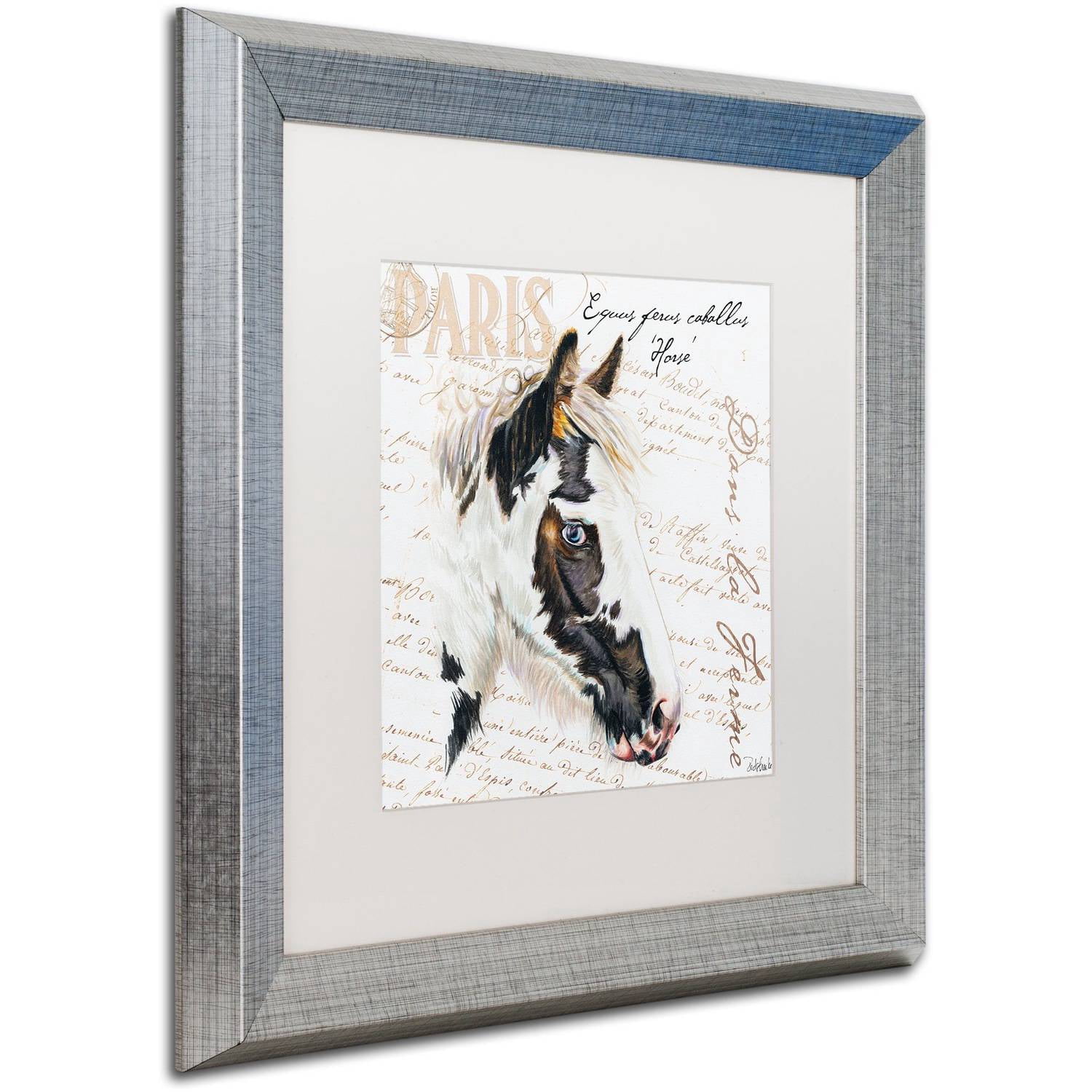 Trademark Fine Art "Dans la Ferme Rooster I" Canvas Art by Jennifer Redstreake White Matte, Silver Frame