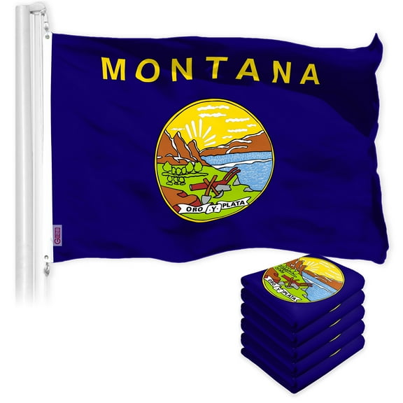 G128 5 Pack: Montana MT State Flag | 3x5 Ft | LiteWeave Pro Series Printed 150D Polyester | Indoor/Outdoor, Vibrant Colors, Brass Grommets, Thicker and More Durable Than 100D 75D Polyester
