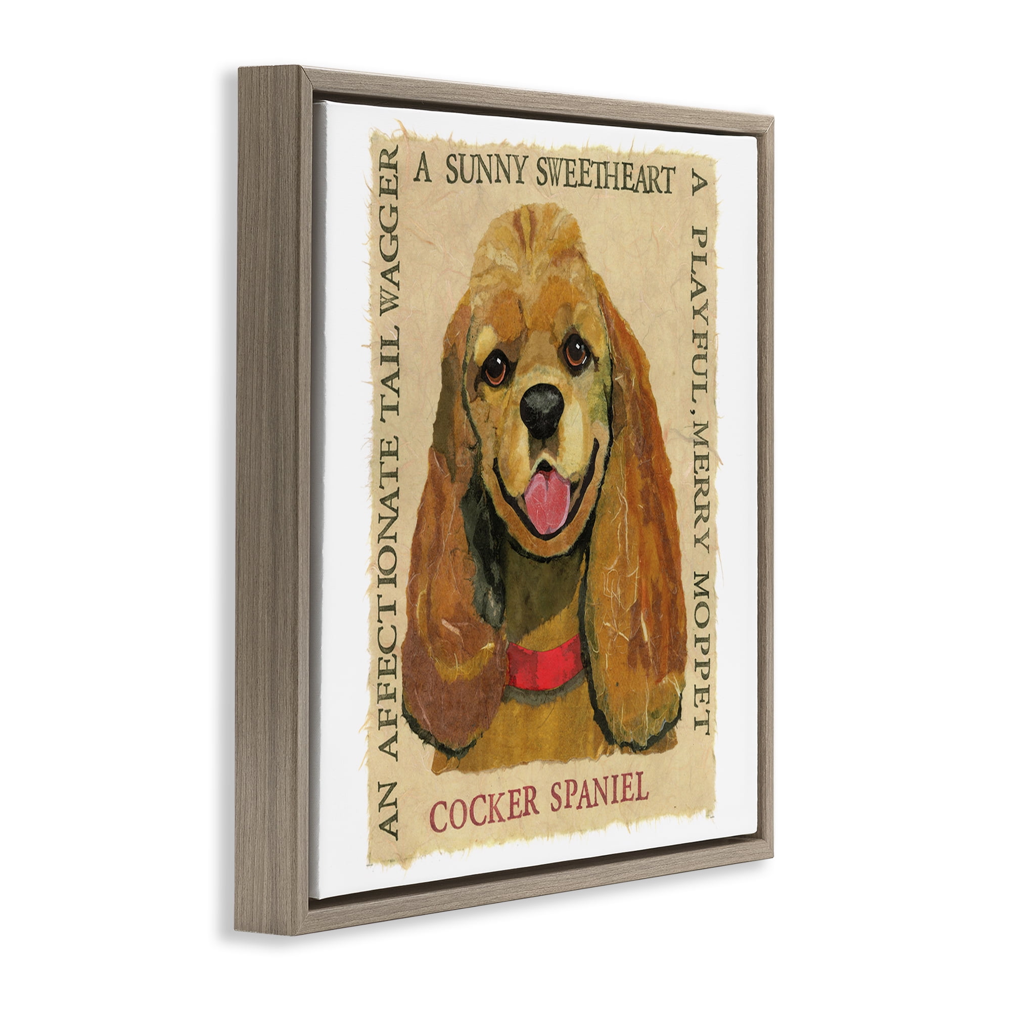 Stupell Industries Fun Cocker Spaniel Phrases Animals Painting Brown Floater Framed Canvas Art Print Wall Art, 18 x 18