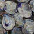 thumbnail image 2 of Vertentes, Jeanette 26x26 Gold Ornate Wood Framed with Double Matting Museum Art Print Titled - Lost Oyster, 2 of 4