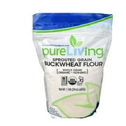 Pure Living Sprouted Grain Buckwheat Flour Organic - 1.5 lb