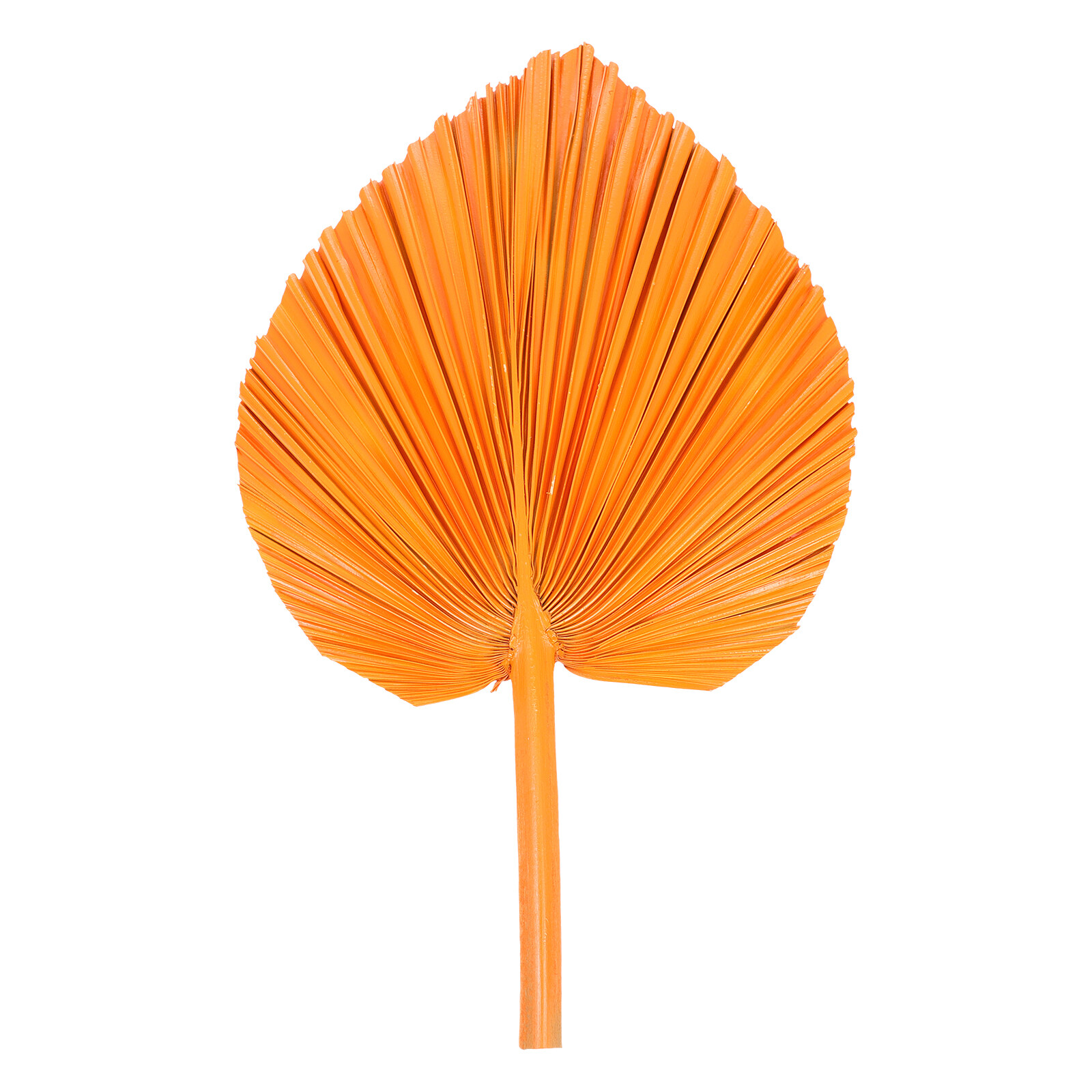 Dried palm leaf decor Natural Dried Palm Leaf Decor Dry Plant Leaf