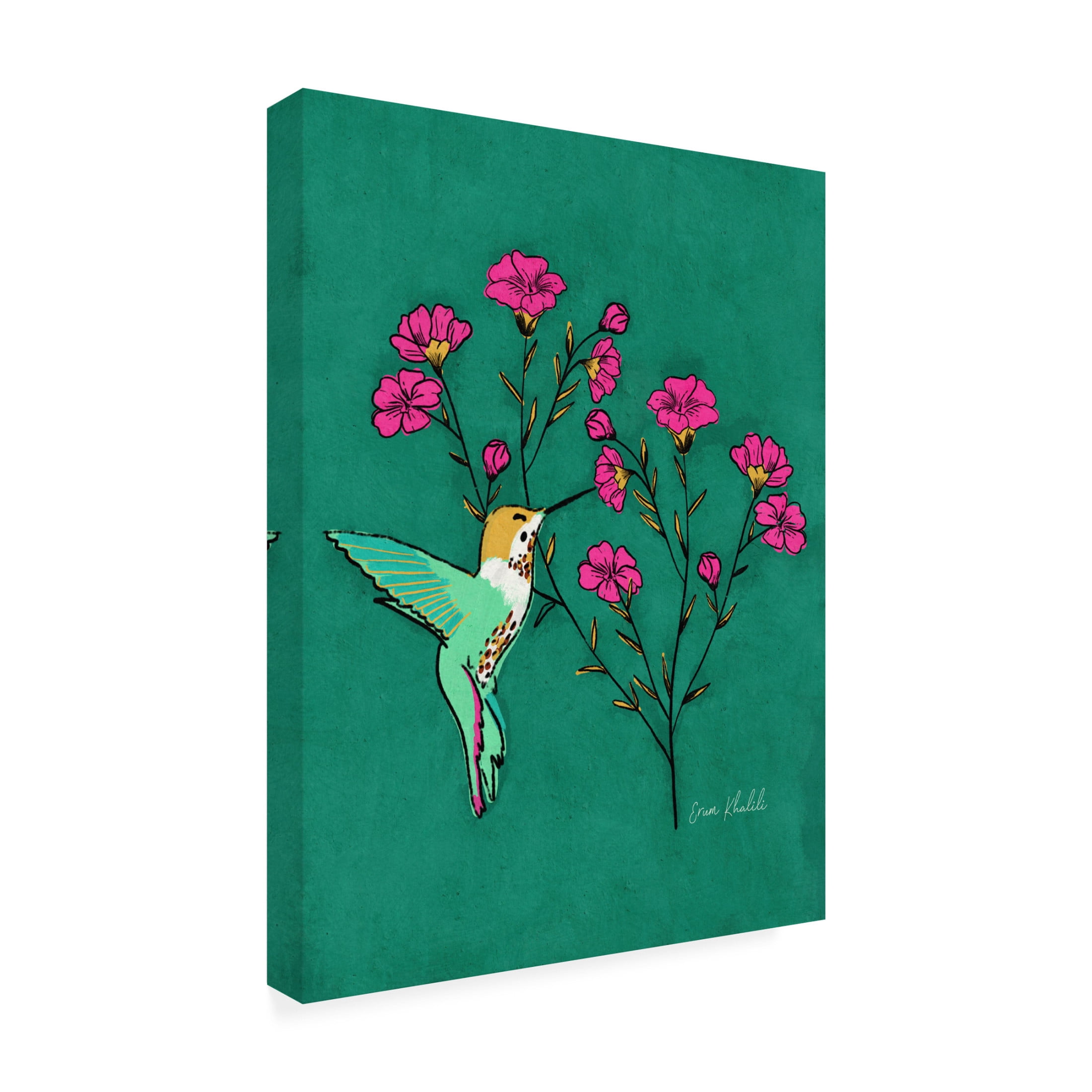 Trademark Fine Art Erum Khalili Hummingbird Canvas Wall Art