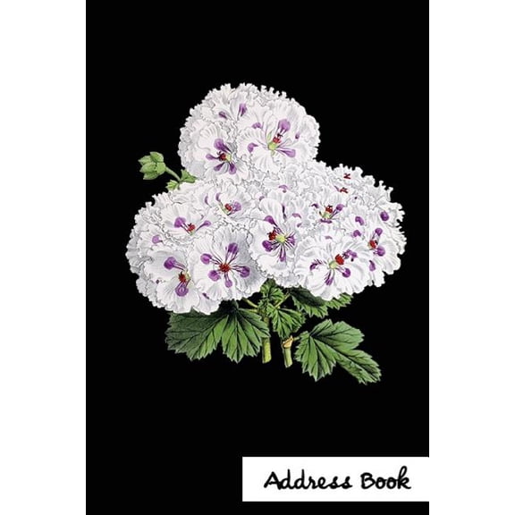 Address Book Flower Edition.: Address Book.: Glossy And Soft Cover, Large Print, Font, 6" x 9" For Contacts, Addresses, Phone Numbers, Emails, Birthday And More. (Paperback)(Large Print)