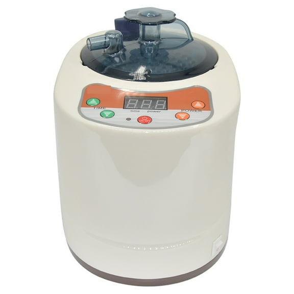 2 Liter Portable Sauna Steamer Pot, Generator For Steam Saunas, Home Spa Machine For Body Detox ,Higher Power