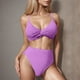 thumbnail image 2 of Traje de Baño Femenino con Pantalones Cortos Control Del Vientre Traje de Baño Sexy Dividido con Sujetador Acolchado Nylon Spandex, Moda Delgada Dos Piezas para la Piscina de Playa, Traje de Baño Tors, 2 of 8