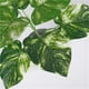 thumbnail image 5 of Hojas artificiales Flores artificiales Hojas de plátano Plantas artificiales decorativas para la decoración para hogar de Punto blanco, 5 of 9