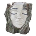 thumbnail image 2 of Maceta con forma de cara, contenedor de plantas, adorno artesanal, regalo, decoración del hogar, maceta práctica de resina para dormitorio, oficina,, 2 of 8