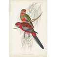 thumbnail image 2 of Gould, John 13x18 Gold Ornate Wood Framed with Double Matting Museum Art Print Titled - Tropical Parrots III, 2 of 4