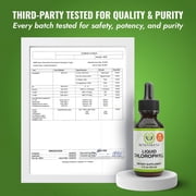 Benevolent Nourishment Liquid Chlorophyll Drops Herbal Supplement, Natural Mint, 2 fl oz