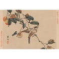 thumbnail image 3 of Matsumura, Keibun 14x11 Black Modern Framed Museum Art Print Titled - Bird perched on a branch from a fruit persimmon tree., 1892, 3 of 5