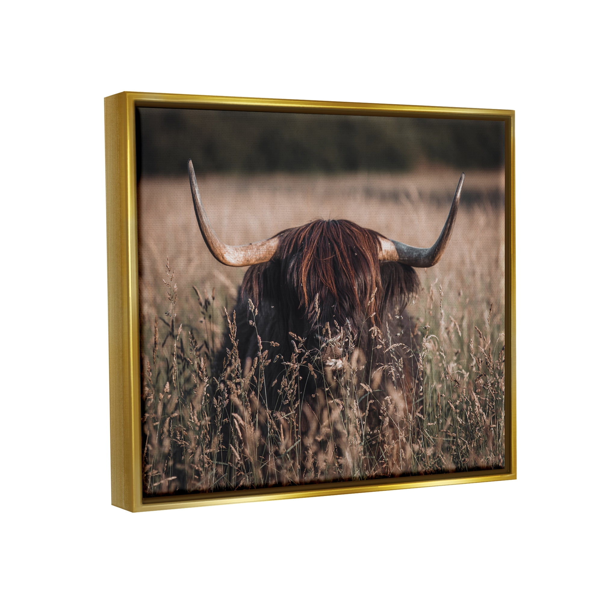 Stupell Industries Highland Cattle in Tall Grass Animals & Insects Photography Gold Floater Framed Art Print Wall Art