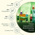 thumbnail image 7 of Lifelines Essential Oil Blend Discovery Set, Long-Lasting Scented Fragrance for Aromatherapy Diffusers, 5 Pack, 7 of 7