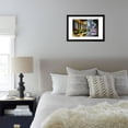 thumbnail image 5 of Rainbow Row II, Charleston South Carolina Framed Print Wall Art By George Oze, 5 of 5