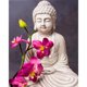 thumbnail image 1 of Cuadros Decorativos Pintura al óleo acrílica por números flores de Buda imagen Digital decoración de la pared del hogar Likrtyny embutido en tela, 1 of 9