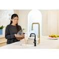 thumbnail image 3 of BISSELL® Little Green® HydroSteam™ Pet, 3 of 9