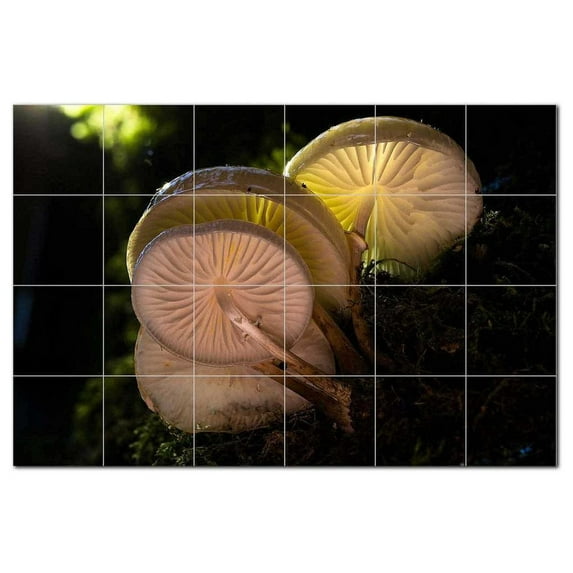 Mushroom Ceramic Tile Mural Kitchen Backsplash Bathroom Shower, 401206-M64