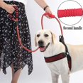 thumbnail image 5 of Rope Dog Lead, 6 Ft Double Soft Padded Handle Dog Leash, Highly Reflective Dog Lead Threads For Puppy And Medium Large, 5 of 5