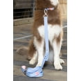 thumbnail image 3 of Aria the Fox 6' Waterproof Leash, 2 Handles, Periwinkle and Pink, 3 of 3