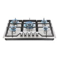 thumbnail image 1 of Parrilla de Gas Empotrable Premium 5 quemadores Acero Inoxidable Enc. Electrónico GARELL Garell PEINOX-5Q, 1 of 8