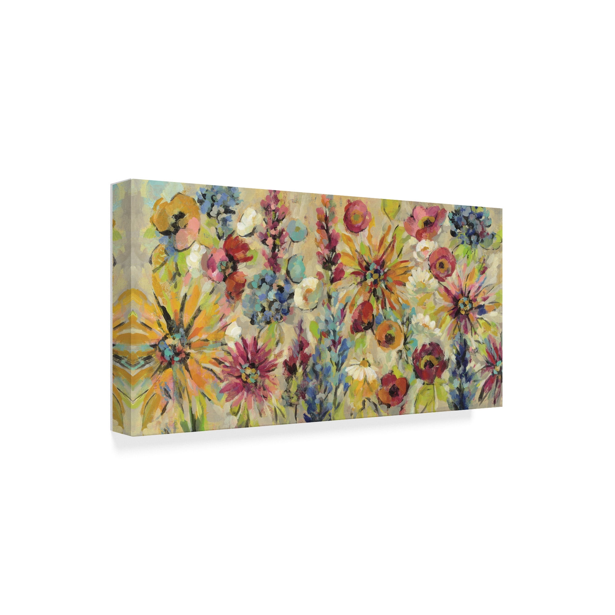 Trademark Fine Art 'May Garden' Canvas Art by Silvia Vassileva