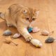 thumbnail image 4 of Juguete interactivo para gatos para la limpieza dental, con función de masticación y entretenimiento, 4 of 7