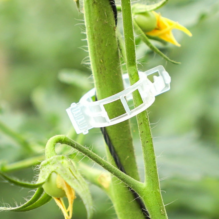 100/200/300 Pcs Plant Clips Plastic Plant Support Clips Reusable Tomato Trellis Clips For Climbing Plants Vines Cucumbers Use U2013 Buy The Best Products In The Online Store