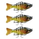 thumbnail image 1 of Soidarity Paquete de 3 señuelos de pesca de plástico de agua salada cebo falso atracción al aire libre Swimbaits artificiales Crankbait accesorio 10cm Pescar Tipo 1 Soidarity OD023723-01, 1 of 6