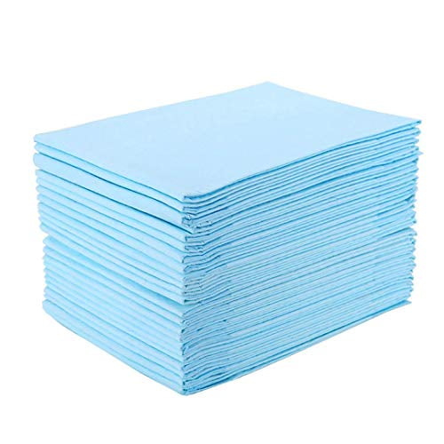 Platinum Care Pads Disposable Pet Training Puppy Pads Size 17x24 Case of 300