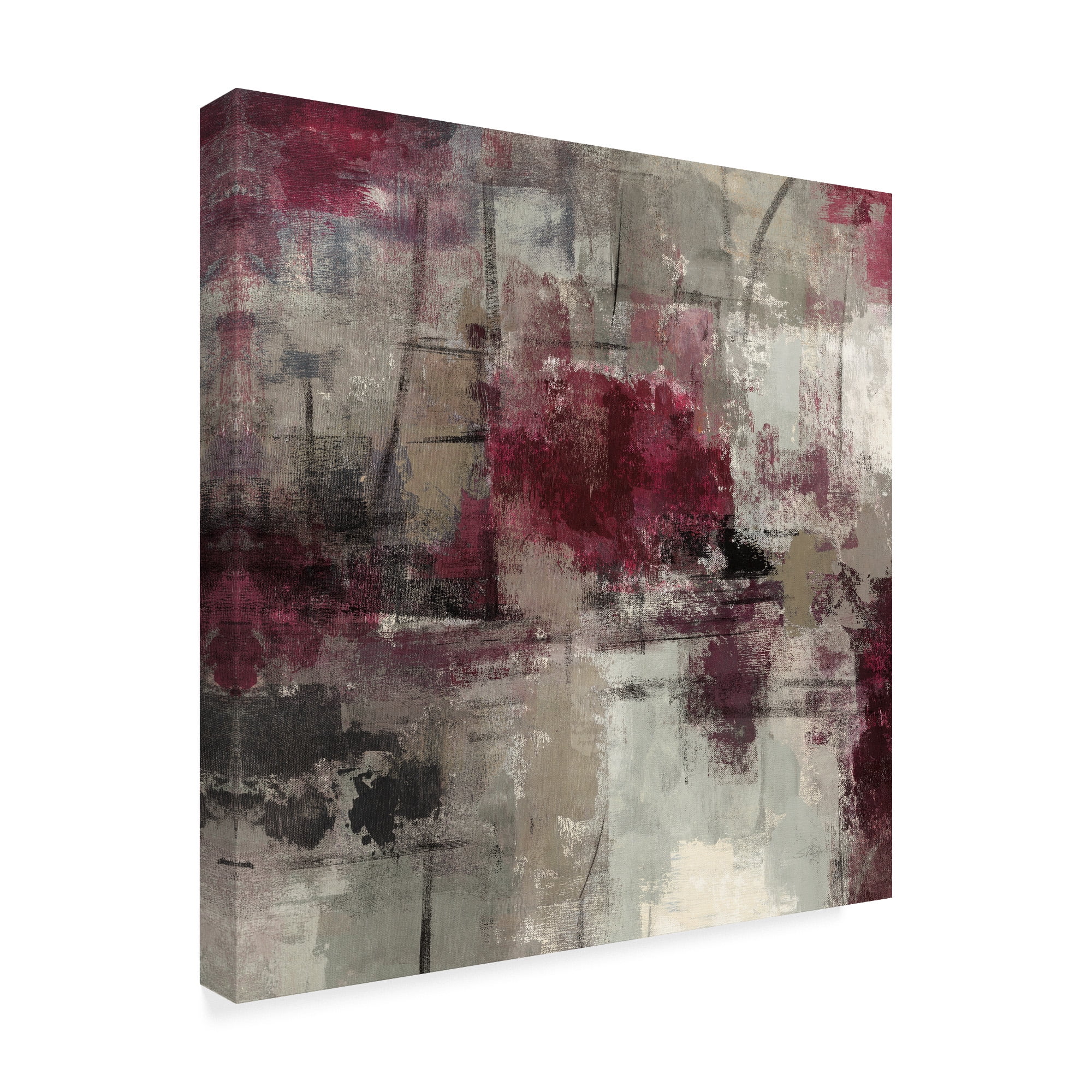 Trademark Fine Art 'Stone Gardens III' Canvas Art by Silvia Vassileva