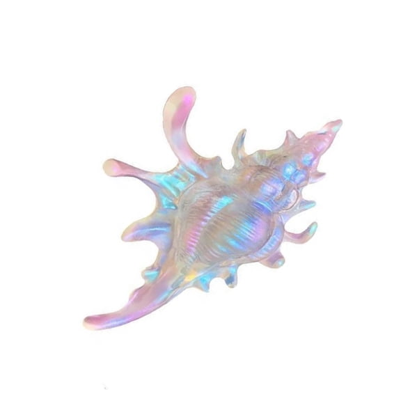 lixuesong Elegant Metal Conch Shaped Hair Claw For Women Girls Trendy Hair Accessories Fashion Jewelry Hair Clip Adornment