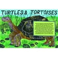thumbnail image 4 of Pocket Guide to Turtles, Snakes, and other Reptiles (Hardcover), 4 of 6