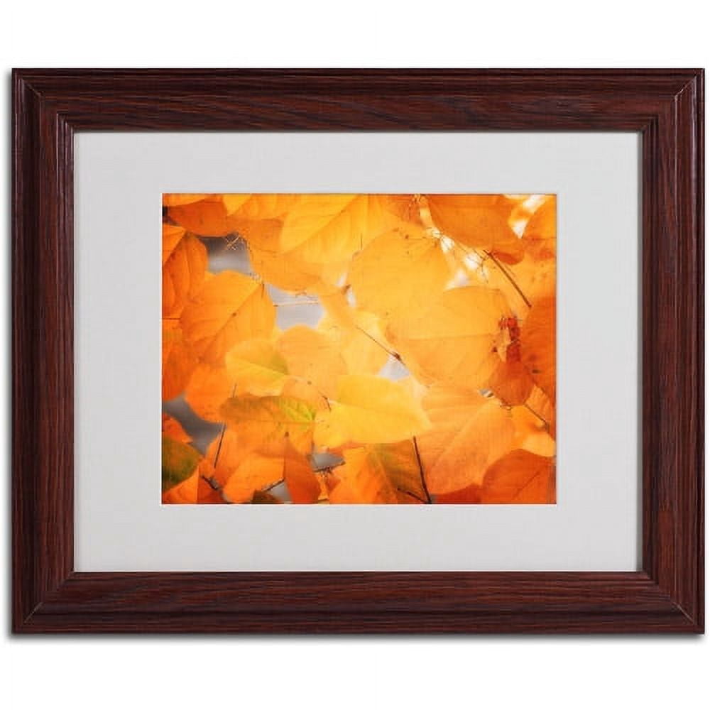 Trademark Fine Art "Seasonal Leaves" Canvas Art by Philippe Sainte-Laudy, Wood Frame
