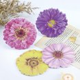 thumbnail image 3 of 12 piezas de notas adhesivas con diseño de flores, blocs de notas adhesivas, blocs de notas autoadhesivos con diseño floral, 3 of 6