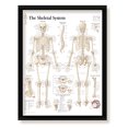 thumbnail image 2 of The Skeletal System Framed Medical Educational Informational Poster Diagram Doctors Office School Classroom 22x28 Inches, 2 of 4