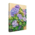 thumbnail image 2 of Trademark Fine Art 'Easter Hydrangea' Canvas Art by Joanne Porter, 2 of 3