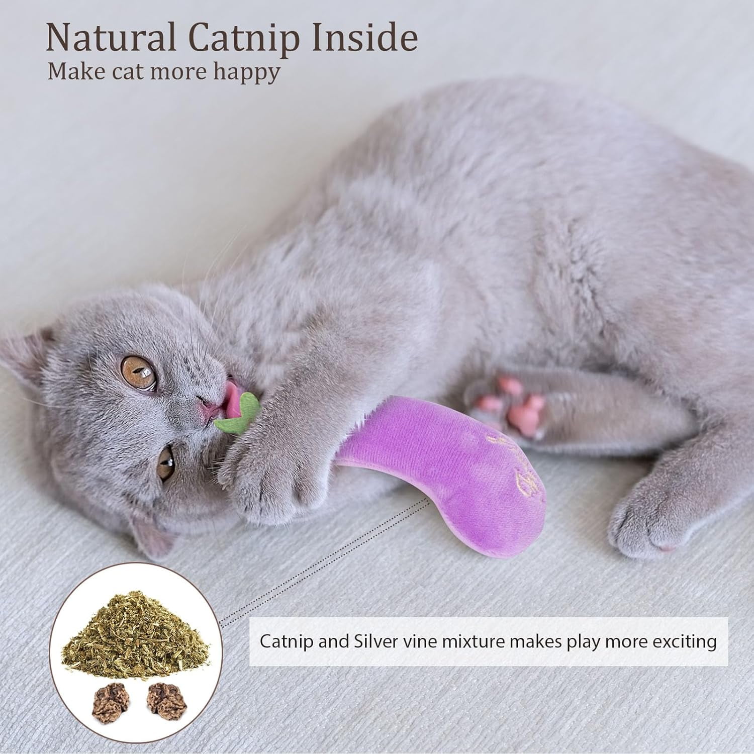 Cat Nip Kitten Toy for Indoor Cats Kitty Kicker, Durable Kitten Teething Chew Toys, 5 Pack, Vegetable Shape