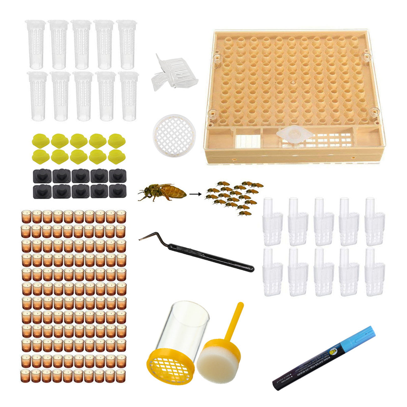 Cell Cups kit Complete Bee Queen Rearing System Beekeeping Box Case Set/Kit 