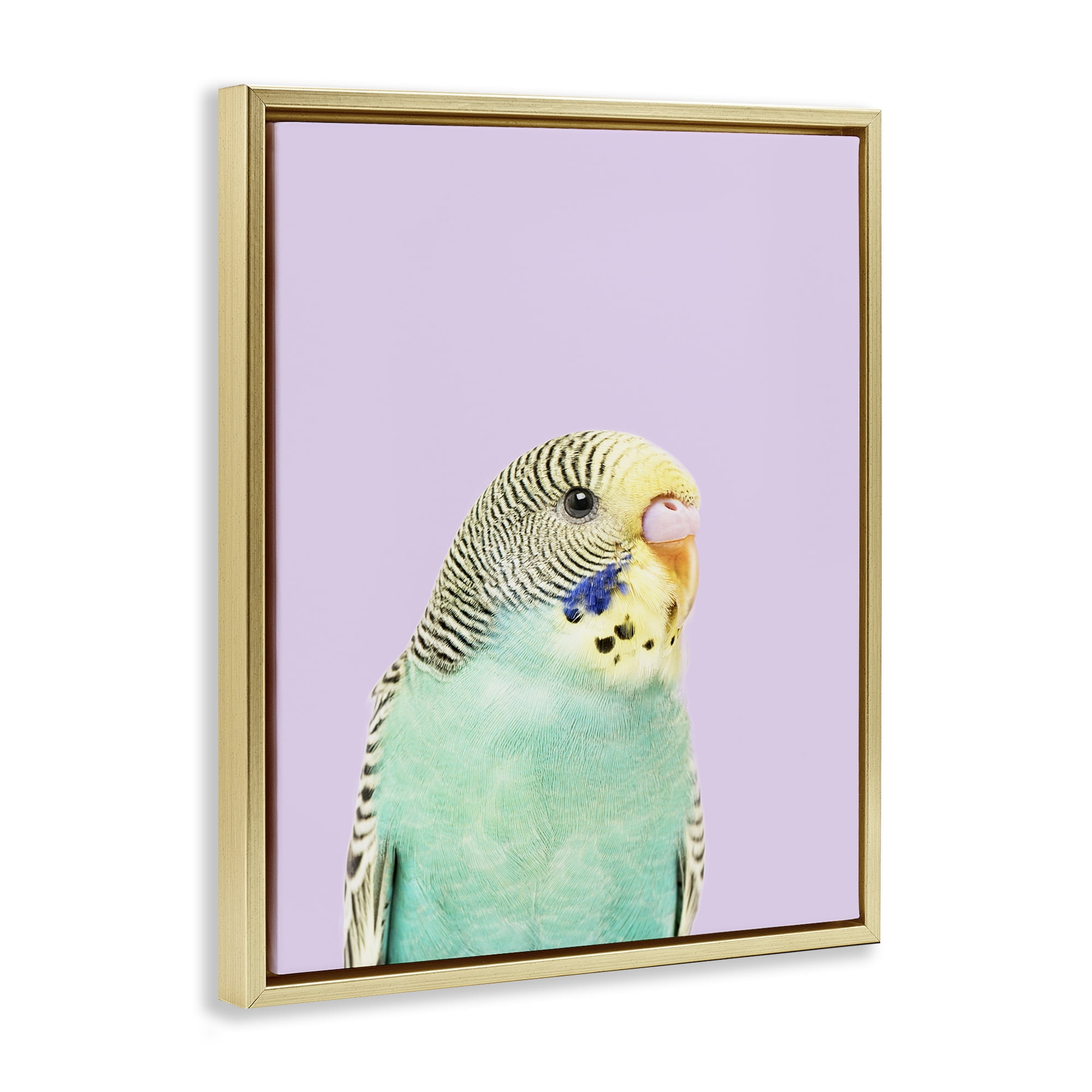 Stupell Industries Pastel Budgie Bird Animals Painting Gold Floater Framed Canvas Art Print Wall Art, 25 x 31