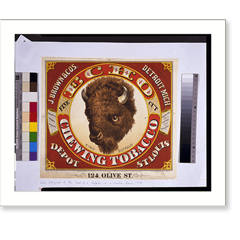 Historic Framed Print, Echo chewing tobacco. King buffalo. Fine cut.St.  Louis Democrat Label Press. - 2, 17-7/8