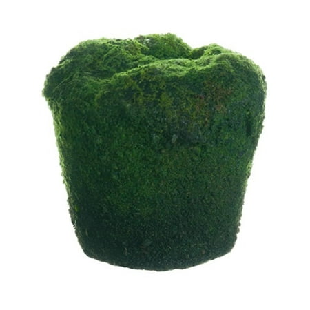 3.5" Decorative Green Moss Spring Soil Planter