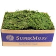thumbnail image 2 of SuperMoss 25325) ( Mousse de Forêt Préservée, Vert Frais, 3 Lb, 2 of 5