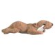 thumbnail image 1 of Top Notch Teacher Products - Bolsillos para pelar y pegar (25 unidades) en forma de chevron surtidos Wildlife Arist 65372600, 1 of 1