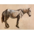 thumbnail image 2 of Agasse, Jacques-Laurent 14x12 Black Modern Framed Museum Art Print Titled - Study of a Grey Horse 1800, 2 of 4