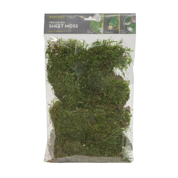 Planter and Terrarium Sheet Moss, Green, 2 oz. Bag, 1" L x 7" Wide x 11" H, Indoor / Outdoor Use