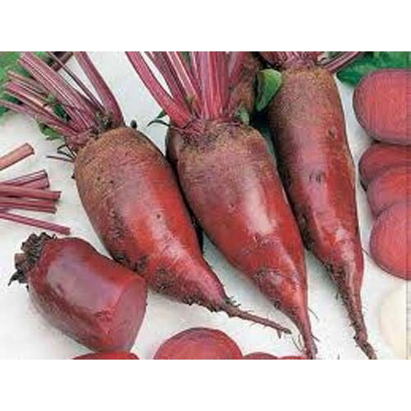 Beet Cylindra Great Heirloom Vegetable By Seed Kingdom 1 Lb Seeds