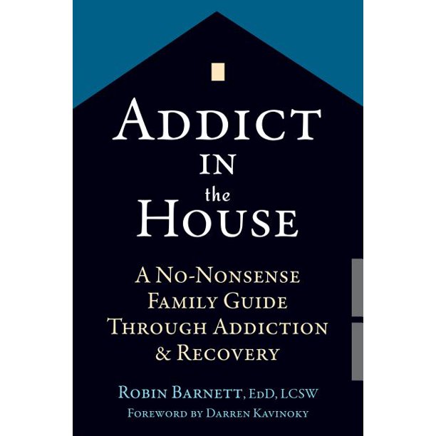 Addict in the House A NoNonsense Family Guide Through Addiction and