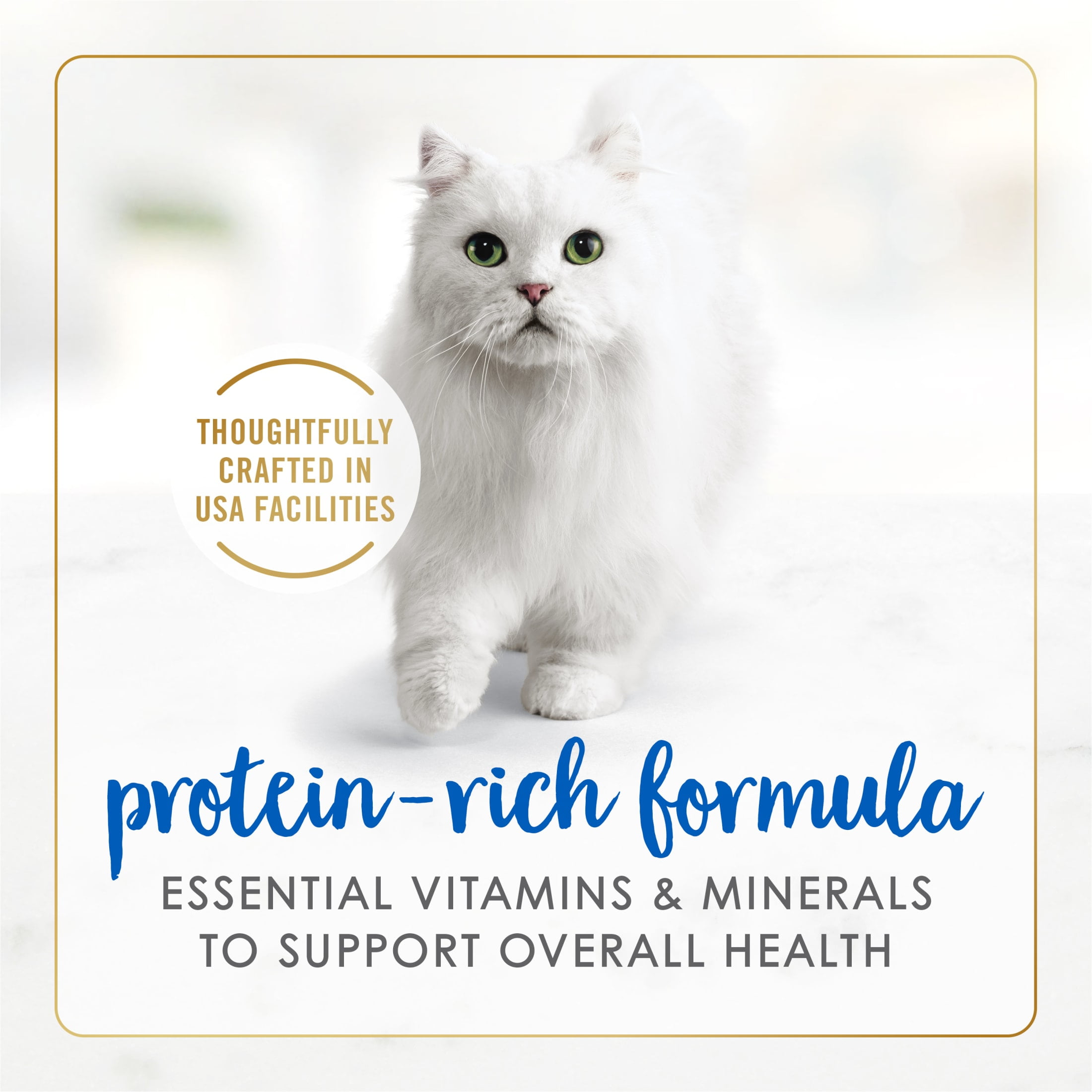 (12 pack) Purina Fancy Feast Classic Kitten Food, Wet Cat Food, Ocean Whitefish & Tuna, 3 oz Can