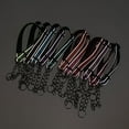 2024 Newest Style Pet Supplies Nylon Reflective Training Dog